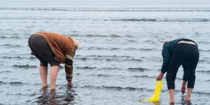 Uses of Sea Water Key Concepts & Examples for EVS Class Live