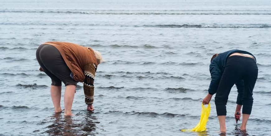 Uses of Sea Water Key Concepts & Examples for EVS Class Live