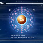 Zinc: Definition, Properties & Uses Explained for Students