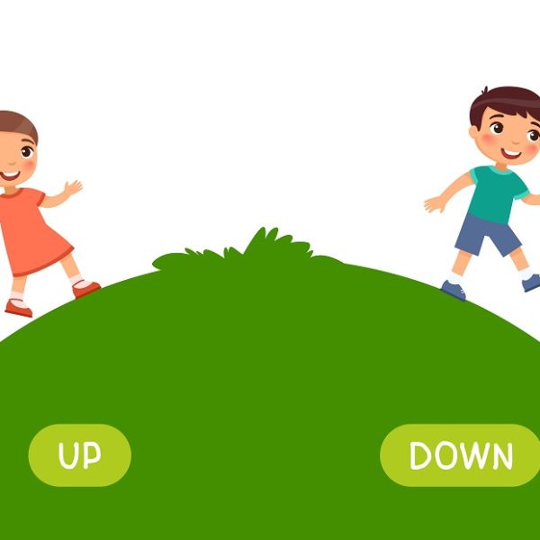 Up And Down Concept For Preschoolers And Kids