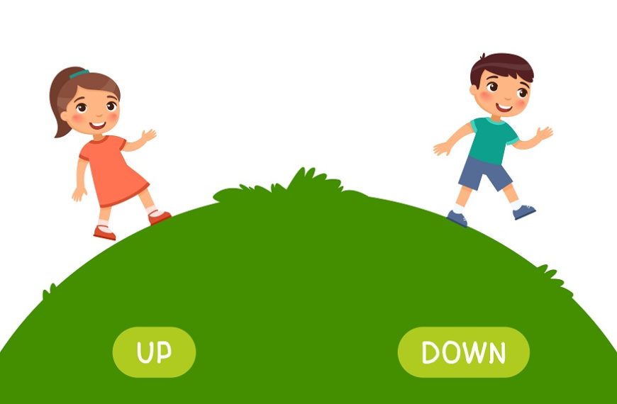 Up And Down Concept For Preschoolers And Kids