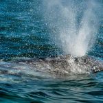 Air Pressure on Water Learn Definition, Facts & Uses
