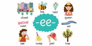 EE Words For Kids To Improve Vocabulary Skills