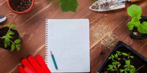 Essay On Gardening (in English) for Classes 1, 2 & 3 10 Lines, Short & Long Paragraph