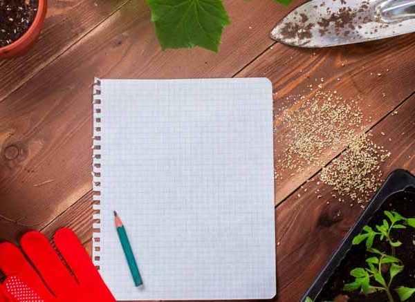 Essay On Gardening (in English) for Classes 1, 2 & 3 10 Lines, Short & Long Paragraph