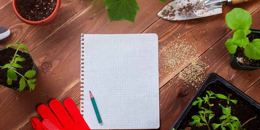 Essay On Gardening (in English) for Classes 1, 2 & 3 10 Lines, Short & Long Paragraph