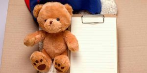 Essay on My Favourite Toy in English for Classes 1, 2, 3 Children 10 Lines & Paragraph