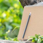 Essay on Save Trees in English for Classes 1-3 10 Lines, Short & Long Paragraph