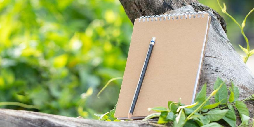 Essay on Save Trees in English for Classes 1-3 10 Lines, Short & Long Paragraph