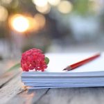 Essay on the Morning Walk in English for Classes 1, 2, 3 Students 10 Lines & Paragraph