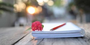 Essay on the Morning Walk in English for Classes 1, 2, 3 Students 10 Lines & Paragraph