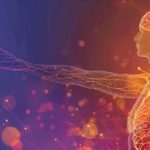 Facts About Nervous System for Grade 5