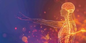 Facts About Nervous System for Grade 5