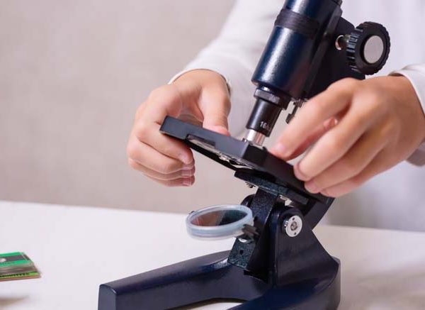 How Does a Microscope Work Types, Uses & Facts Explained