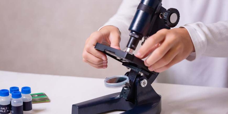 How Does a Microscope Work Types, Uses & Facts Explained