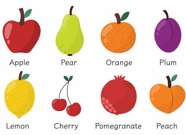 List of Winter Season Fruits Names To Teach Your Child