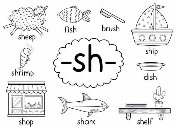 List of Words That Start With Letter 'Sh' For Children To Learn