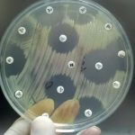 Photocells Overview Working, Uses & Key Concepts Explained