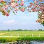 Spring Season for Kids Learn Important Terms and Concepts