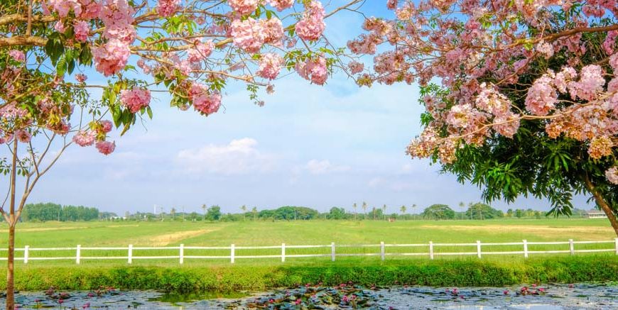Spring Season for Kids Learn Important Terms and Concepts