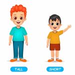 Tall And Short Concept For Preschoolers
