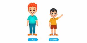 Tall And Short Concept For Preschoolers