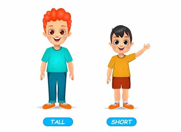 Tall And Short Concept For Preschoolers