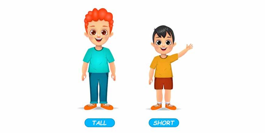 Tall And Short Concept For Preschoolers
