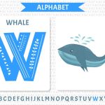 Teach Kids Names of Animals That Start With Letter W