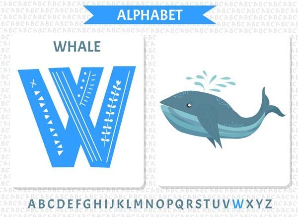 Teach Kids: Names of Animals That Start With Letter “W”