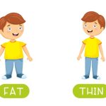 Teach Your Preschooler About Thick And Thin Concept