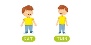 Teach Your Preschooler About Thick And Thin Concept