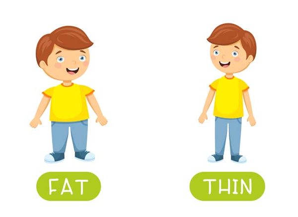 Teach Your Preschooler About Thick And Thin Concept