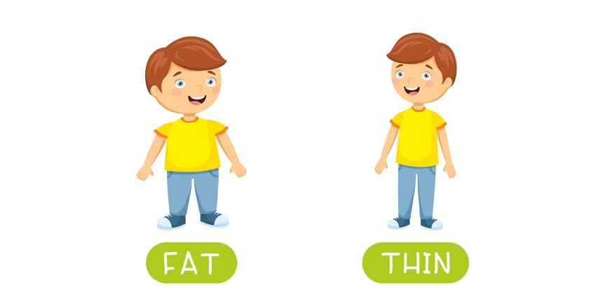 Teach Your Preschooler About Thick And Thin Concept