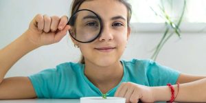 Uses of Converging Lenses Learn Important Terms and Concepts
