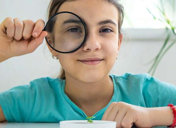 Uses of Converging Lenses Learn Important Terms and Concepts