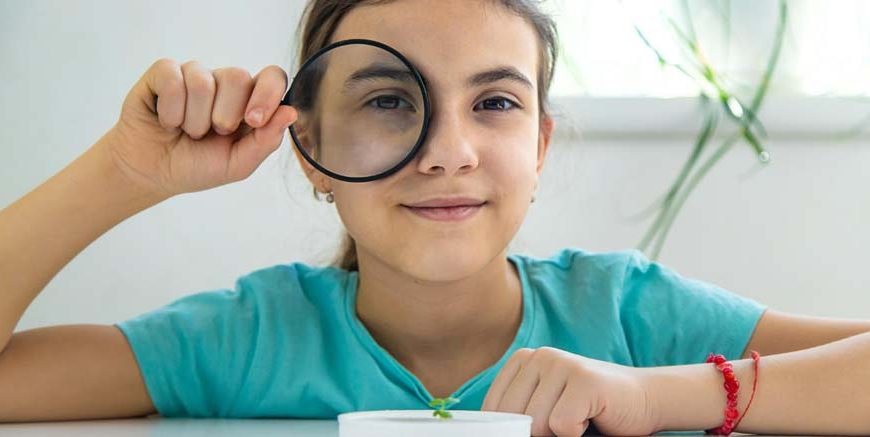Uses of Converging Lenses Learn Important Terms and Concepts