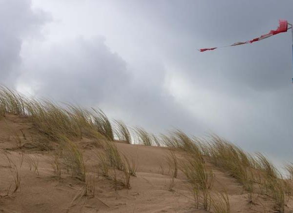 Wind Formation Definition, Process & Examples for Students