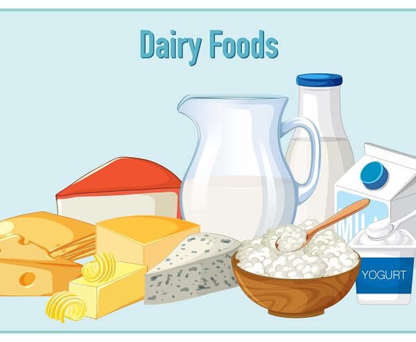 Dairy Product List For Kids With Their Benefits And Facts