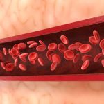 Blood Vessels Structure, Functions & Types Explained