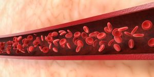 Blood Vessels Structure, Functions & Types Explained