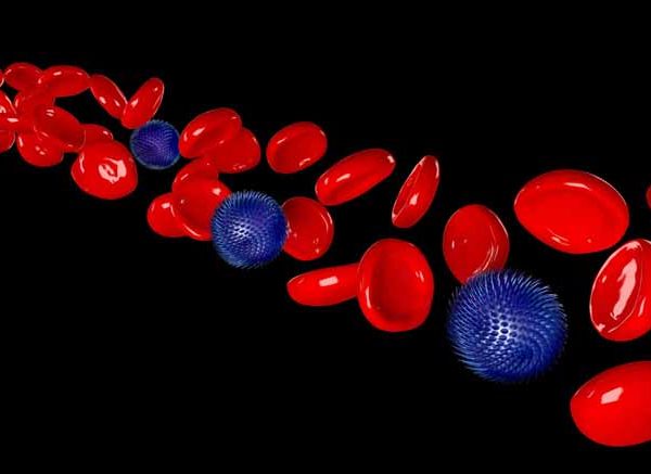 Blood and Its Components Structure, Types & Functions Explained