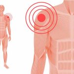Joints in Human Body Types, Functions & Structure Explained