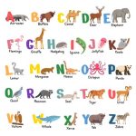 List of Animal Names That Start With Letter 'H'