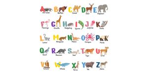 List of Animal Names That Start With Letter 'H'