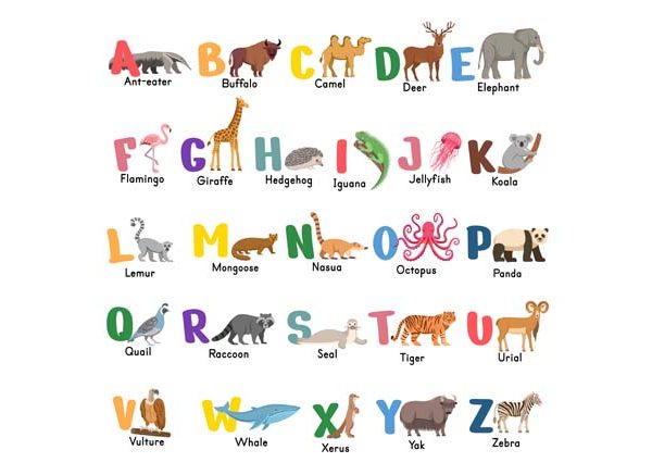 List of Animal Names That Start With Letter 'H'