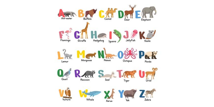List of Animal Names That Start With Letter 'H'