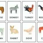 List of Mammals Names For Kids (With Pictures)