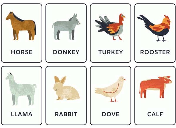 List of Mammals Names For Kids (With Pictures)