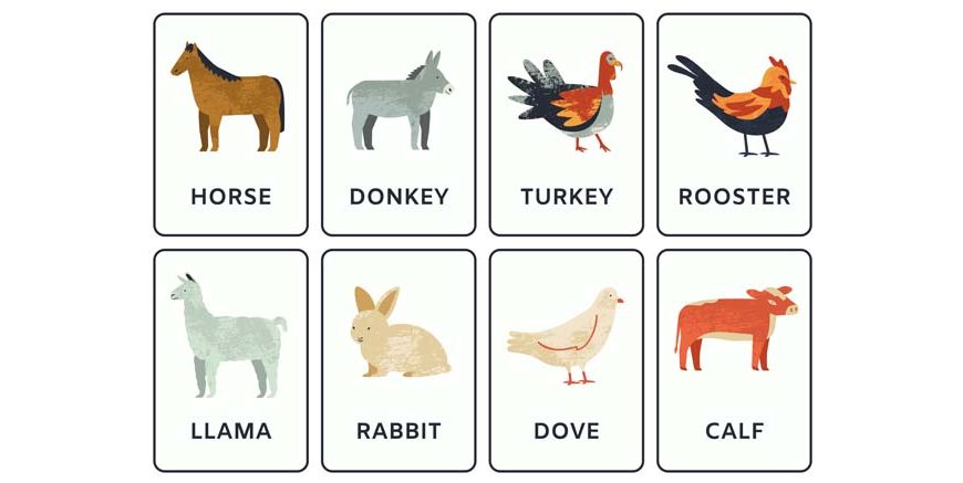 List of Mammals Names For Kids (With Pictures)